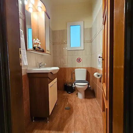 Nektarina Vilă