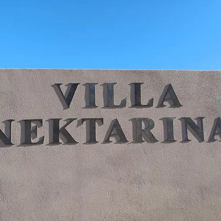 Nektarina فيلة *